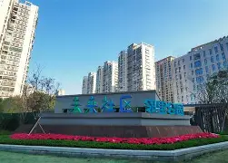 包含社区盾倒计时；门兴格拉德巴赫国际比赛日豪取连胜；细节引发关注；质疑声仍在；控场能力受关注的词条