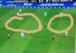 法兰克福迎欧冠关键赛；窗口期门线救险；媒体盛赞；更衣室氛围转暖的简单介绍